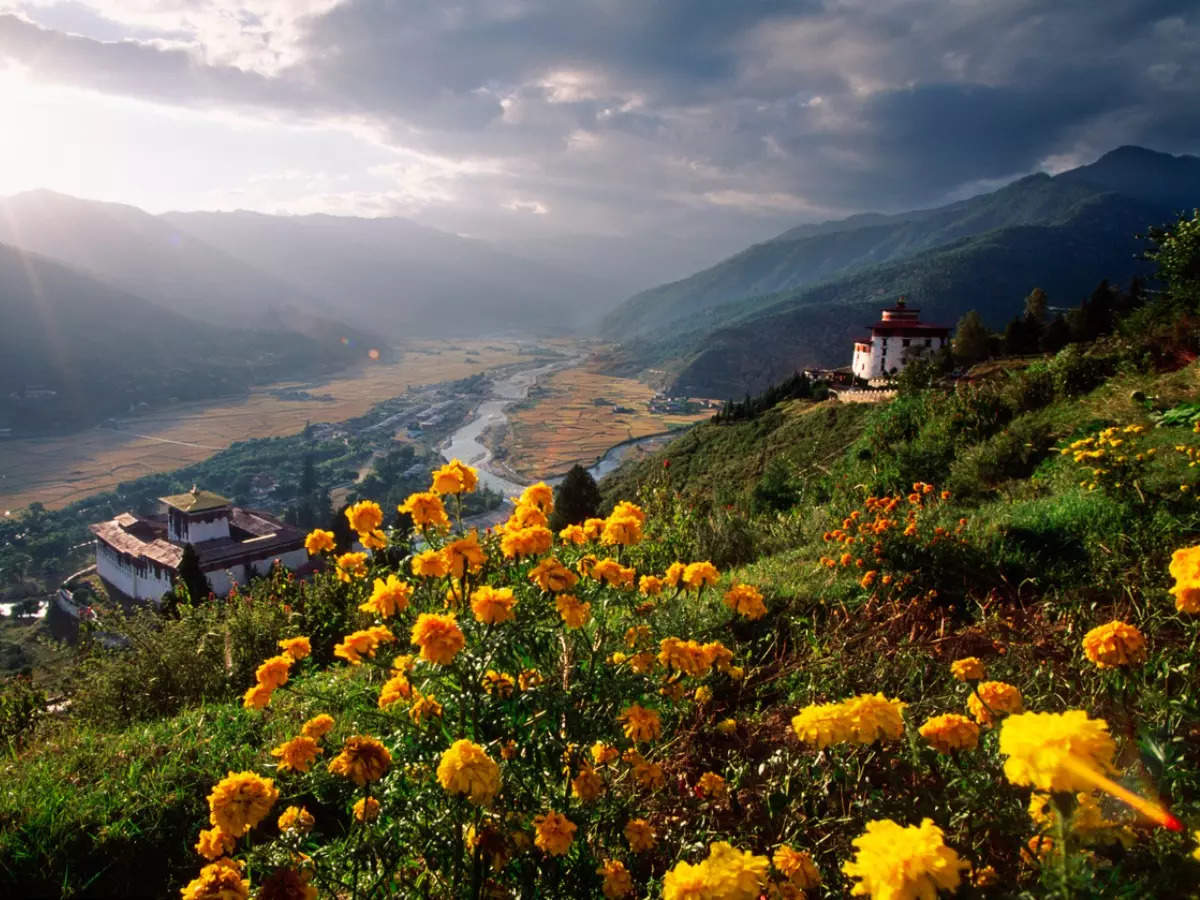 paro-in-spring/bhutanluxurytour.com