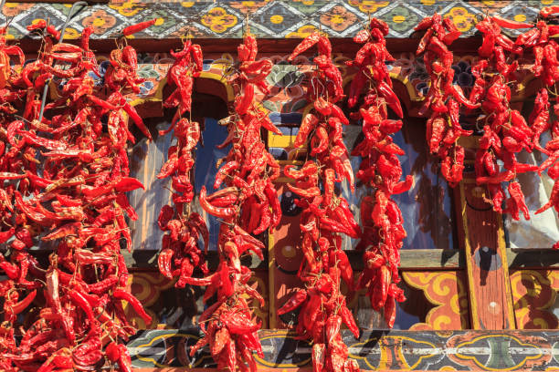 19 Must-Know Tips for Planning Your Bhutan Journey