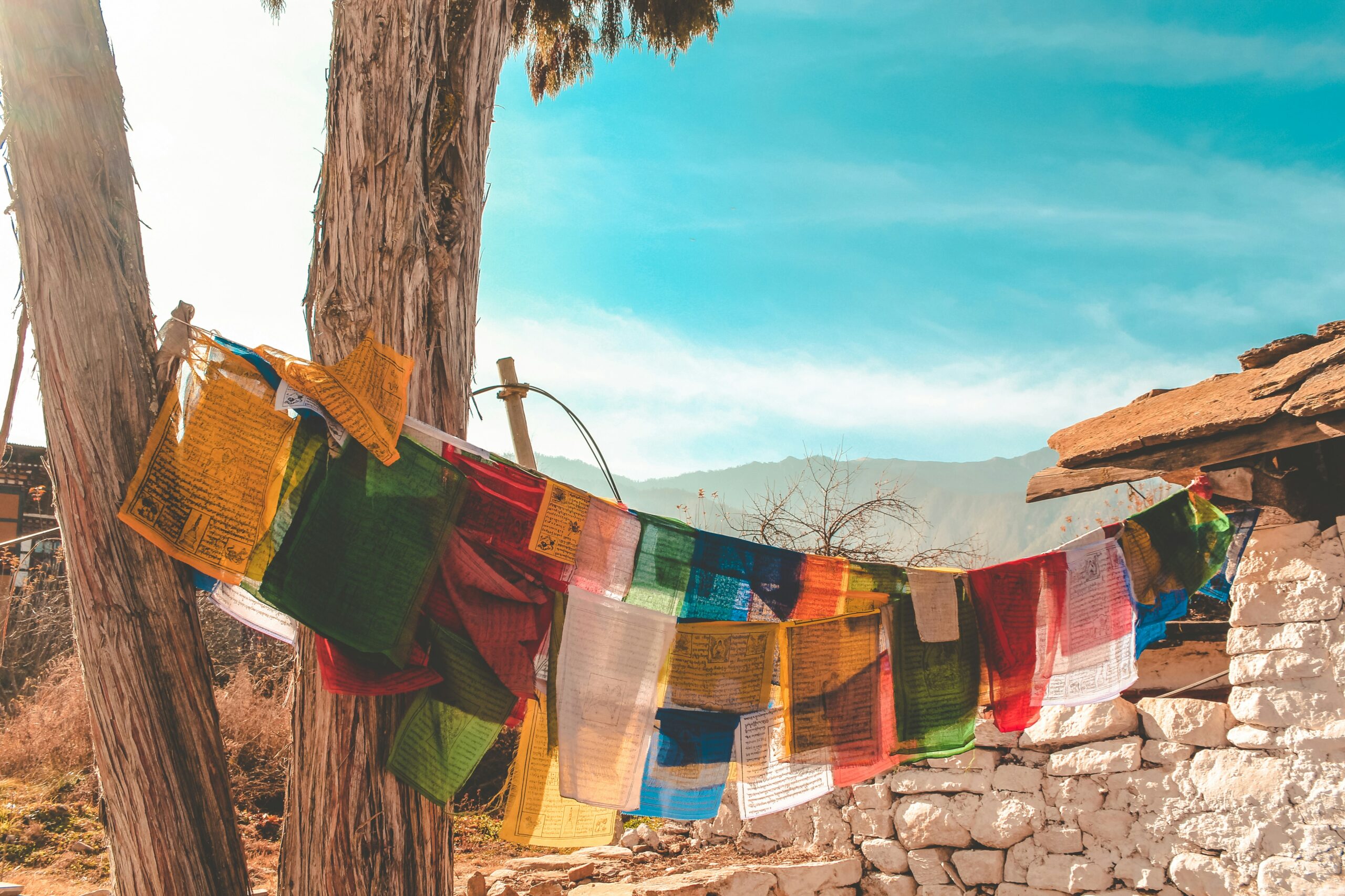 Punakha: Unveiling the Beauty of Bhutan’s Former Capital