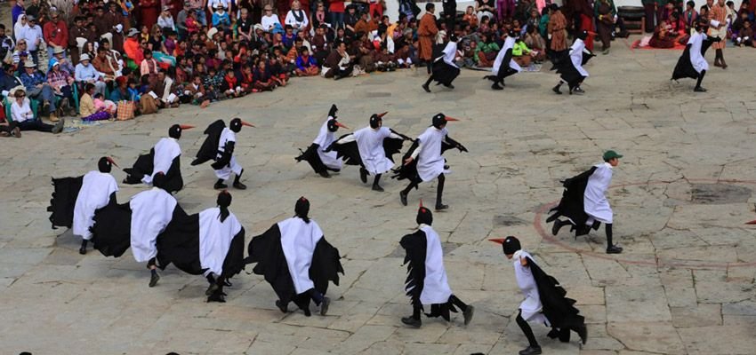 Exploring Crane Information Centers and Black-Necked Cranes with a Bhutan Luxury Tour