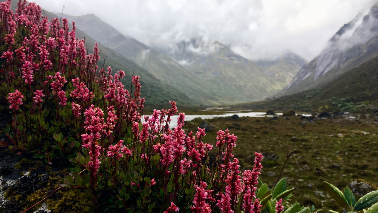 Exploring Bhutan's Wildlife: 8 Spectacular Sanctuaries - Bhutan Luxury Tour