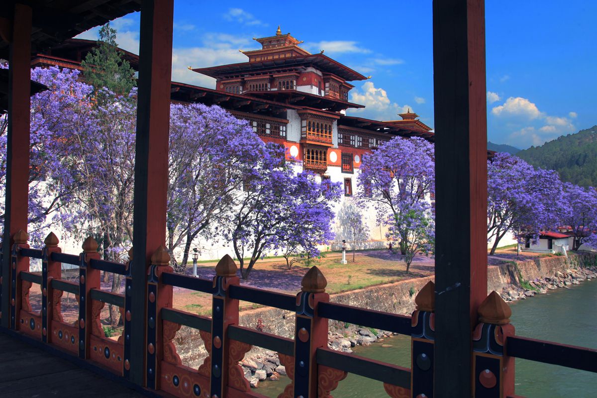 Luxury Bhutan Tour Package from Bangalore, Ahmedabad, and Mumbai
