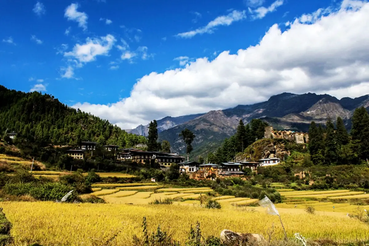 Jhomolhari Trek