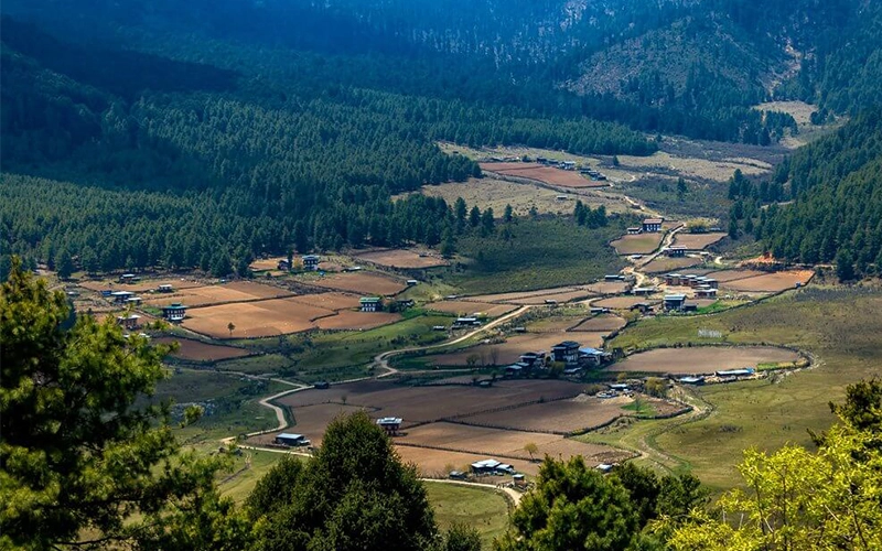 Phobjikha-Valley-as-seen-from-Gangtey-Monastery