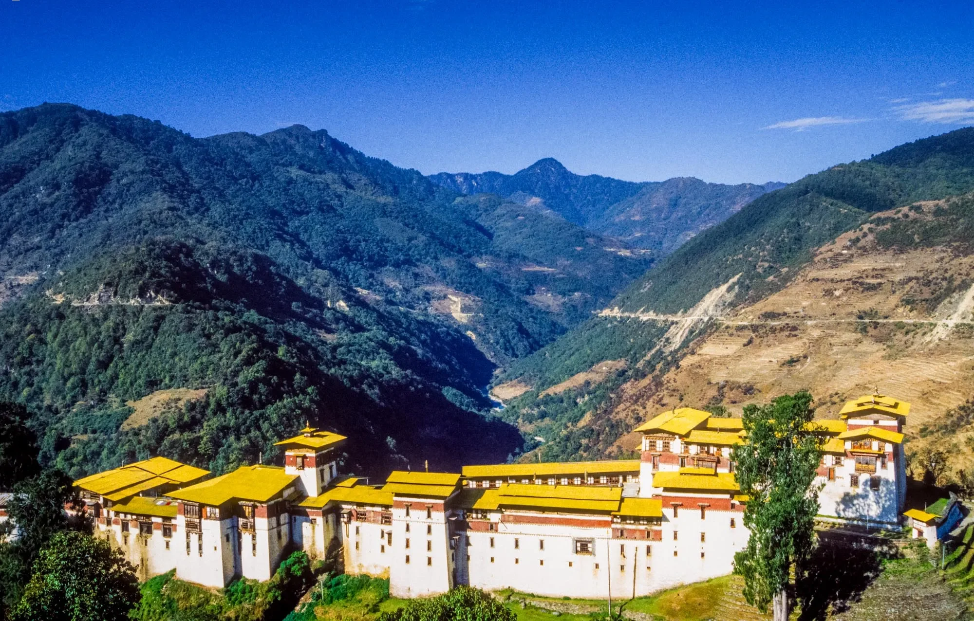 Trongsaa