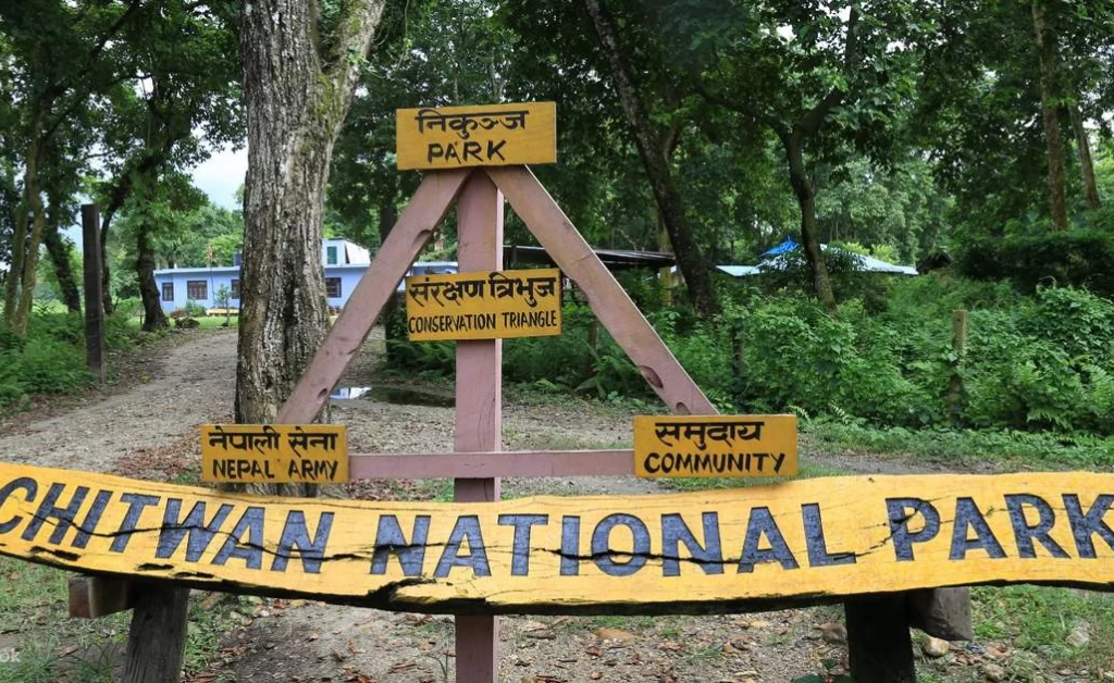 chitwan-national-park (1)