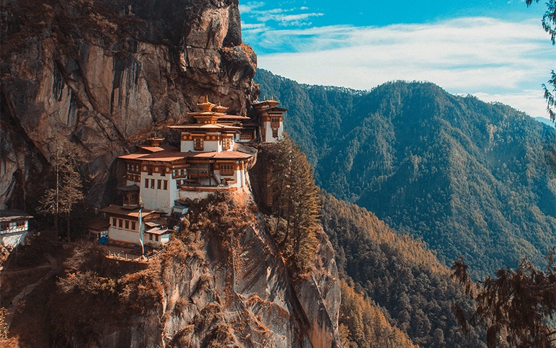 tiger_nest