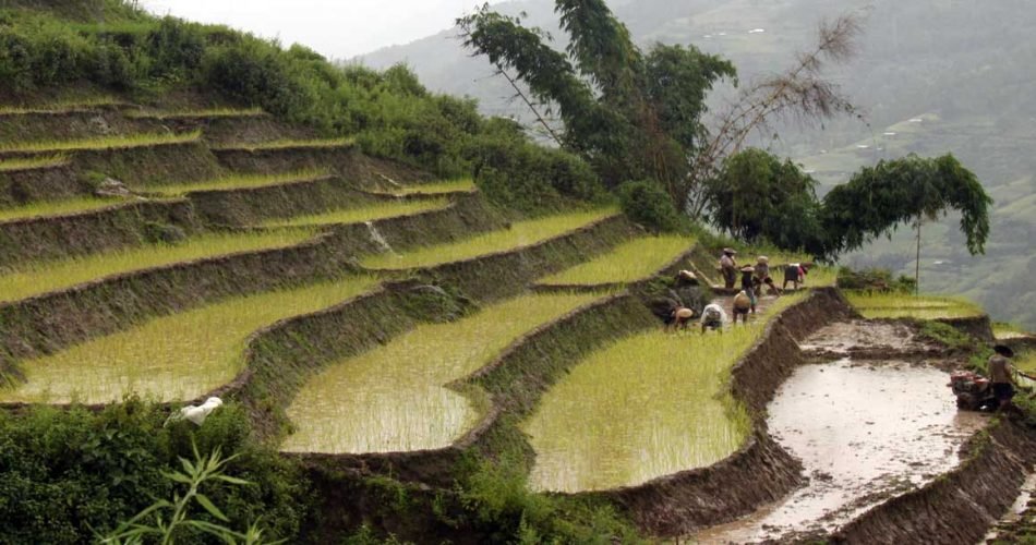  Sopsokha Village