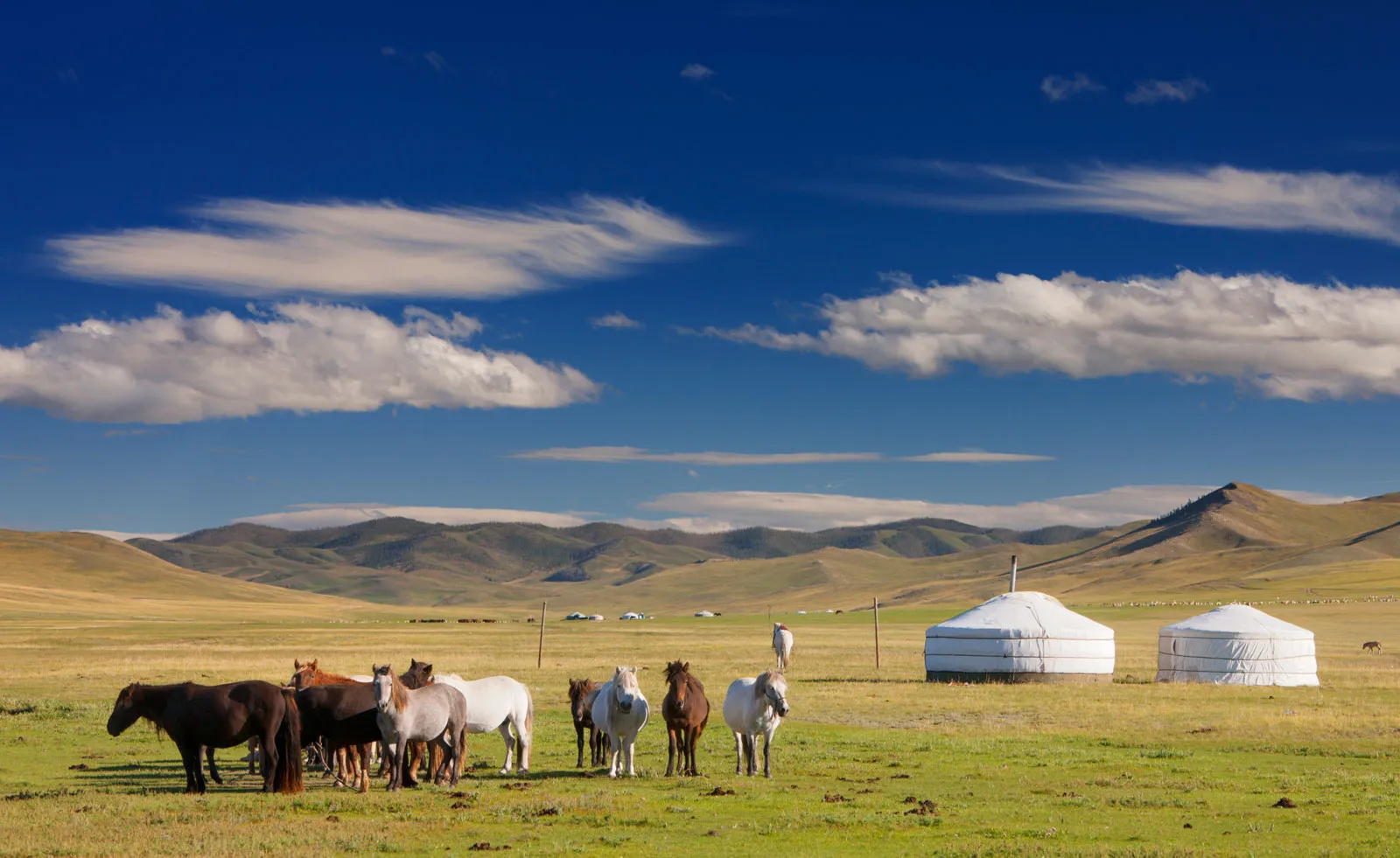 Discovering the Nomadic Highlands  