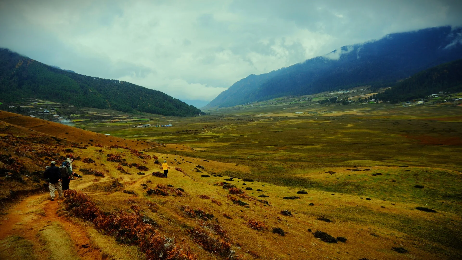 Experience the Beauty of Gangtey Valley