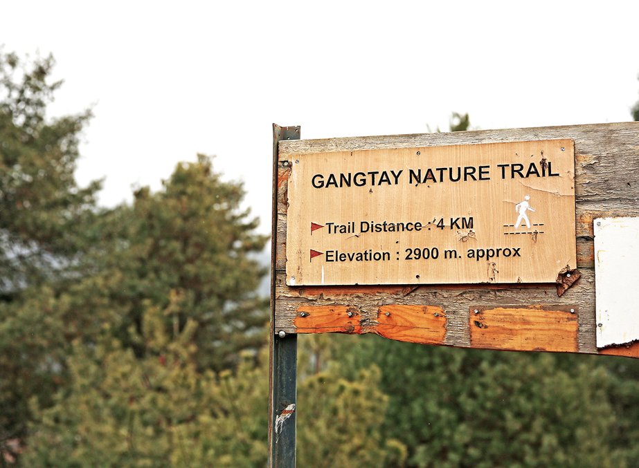 Discover the Gangtey Nature Trail with Bhutan Luxury Tour