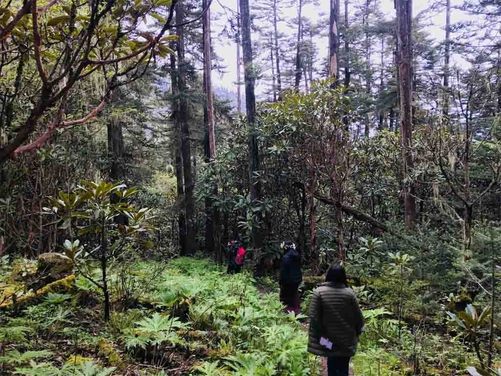 A Hike to Kila Nunnery from Chele La Pass  