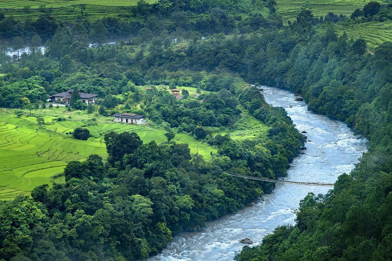 Rainforest Hike in Punakha