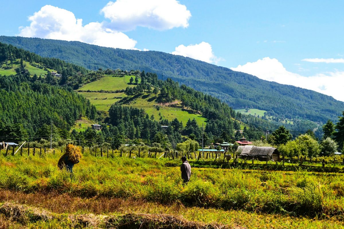 Nestled in the heart of Bhutan, the valleys of Bumthang and Trongsa offer travelers an unparalleled journey through the cultural, historical, and natural wonders of this enchanting kingdom.