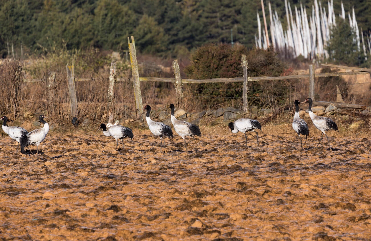  Exploring Bumdeling Wildlife Sanctuary