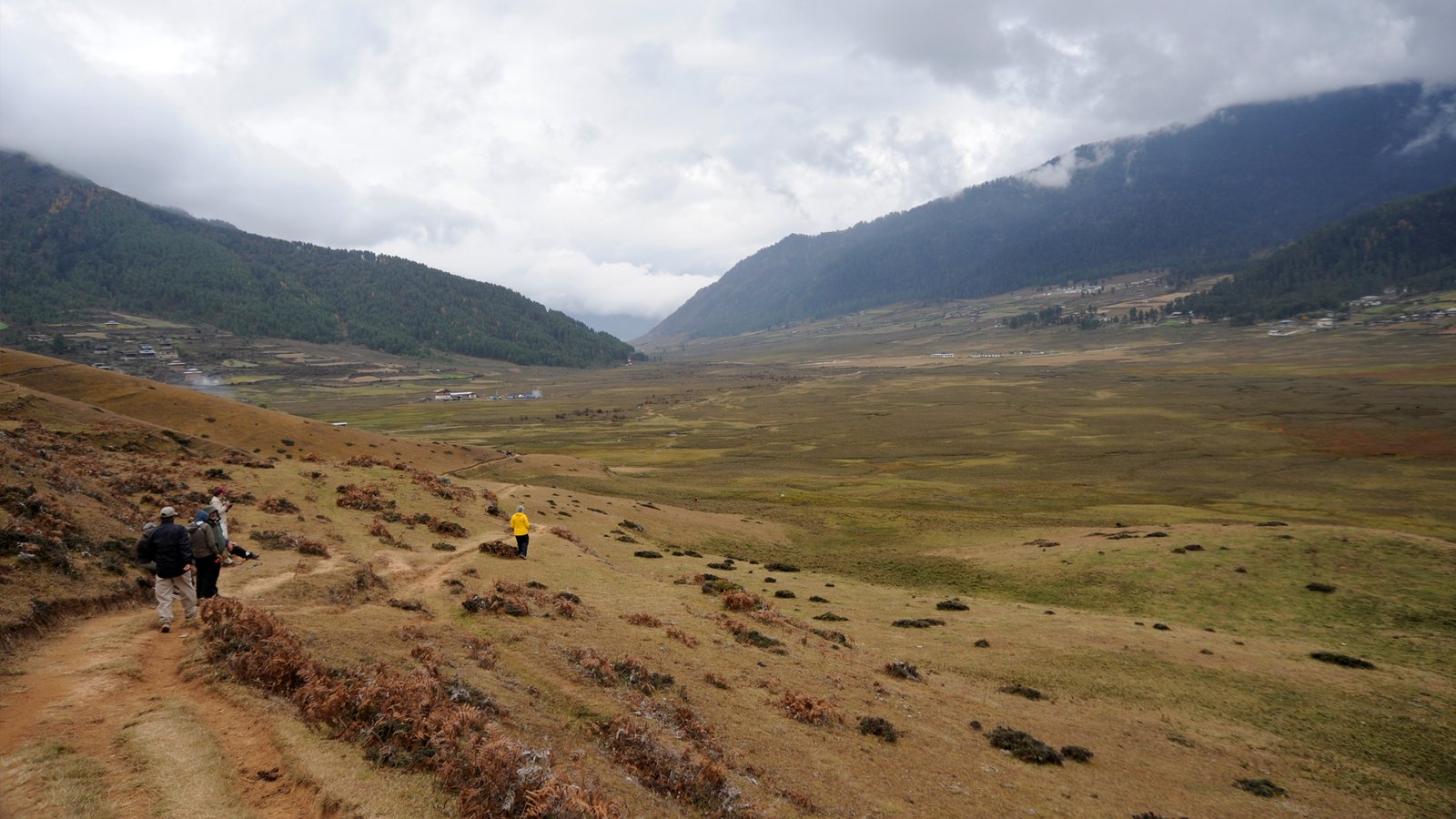 Enchanting Gangtey Nature Trail Hike