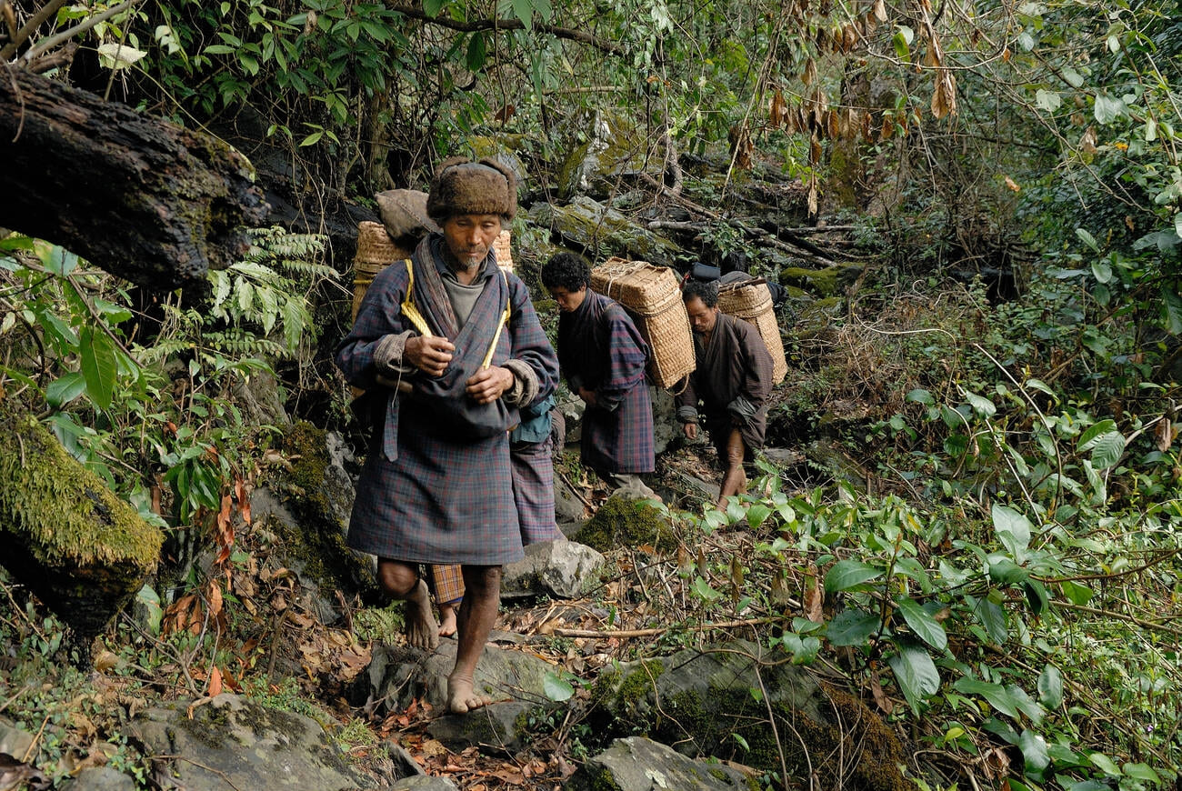 Jigme Singye Wangchuck National Park 