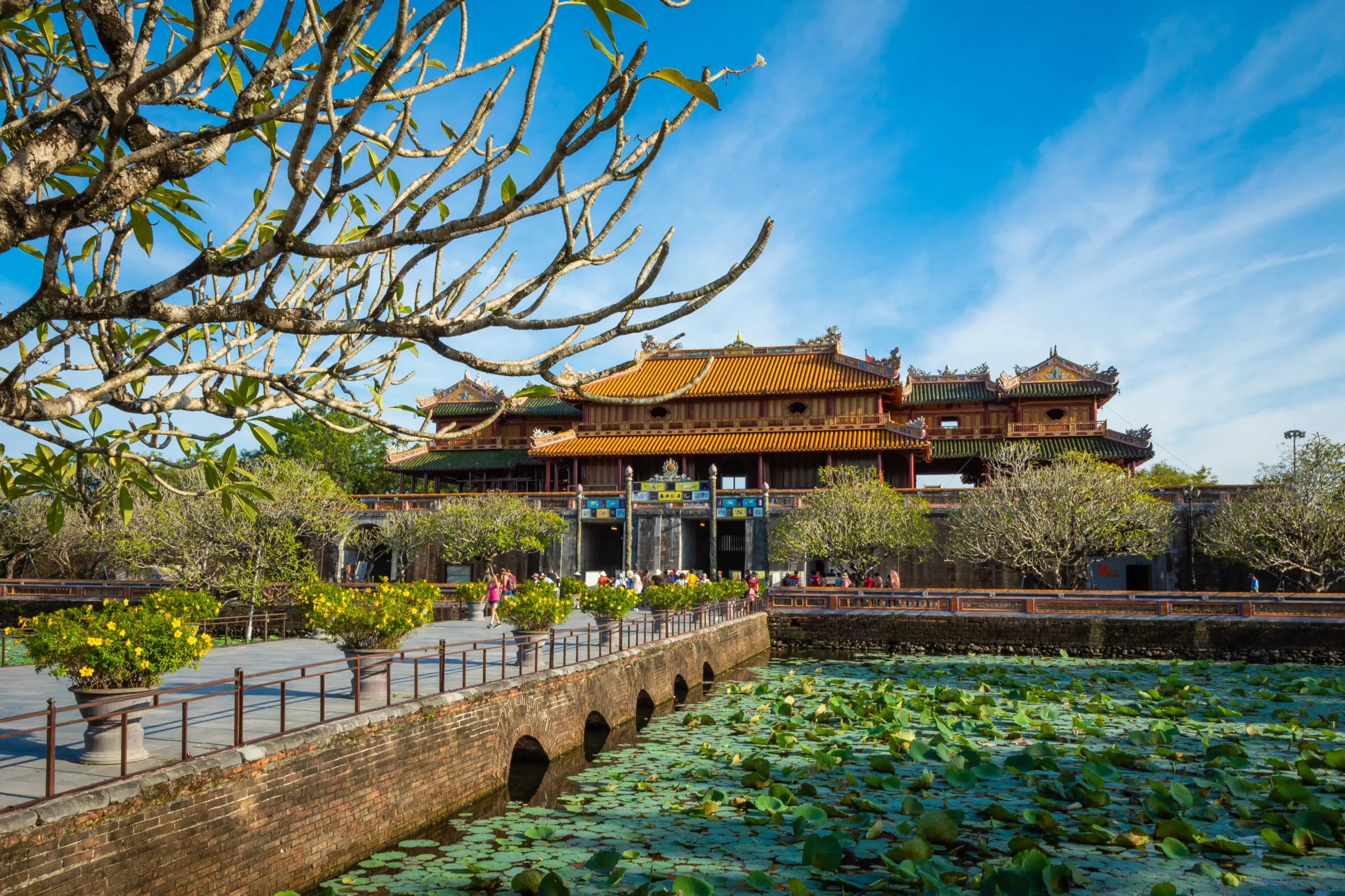 Introduction to Bhutan's Serenity-Ludrong Park's Timeless Beauty  