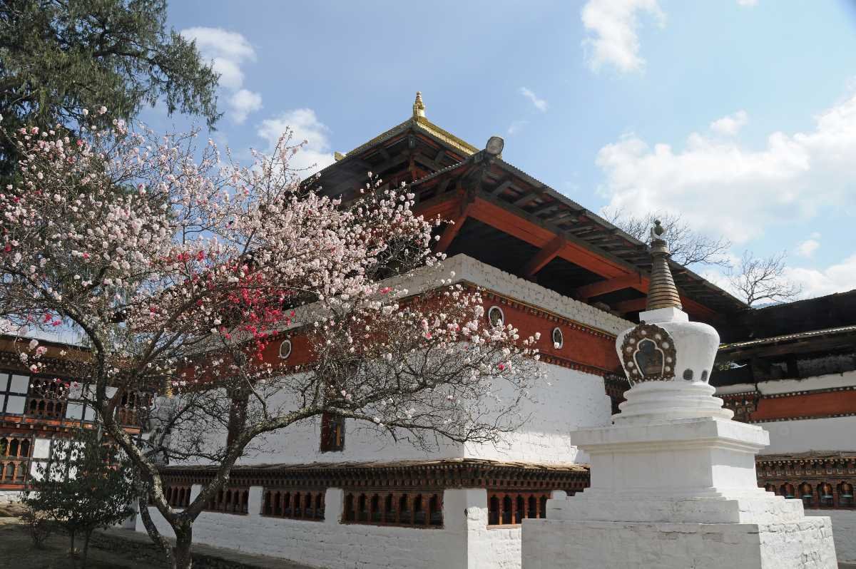 Exploring Dumtseg Lhakhang Temple