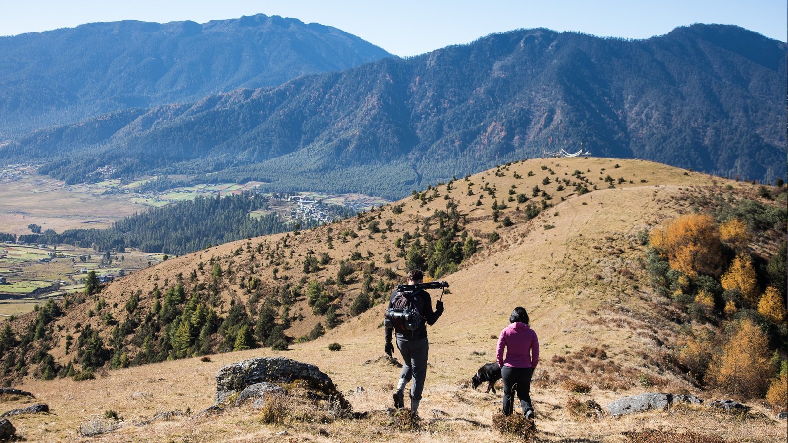 Longtey Rhododendron Hike with Bhutan Luxury Tour
