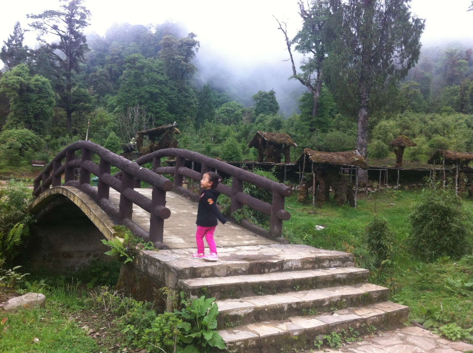 Exploring the Majestic Lamperi Botanical Garden with Bhutan Luxury Tour