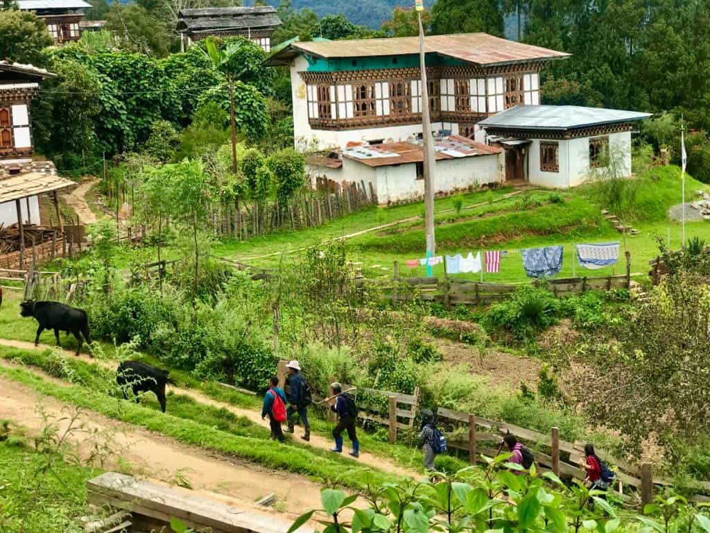 Nestled in the serene landscapes of Bhutan, the villages of Adha and Rukha offer an exceptional opportunity to immerse yourself in the traditional lifestyle of Bhutanese farmers.
