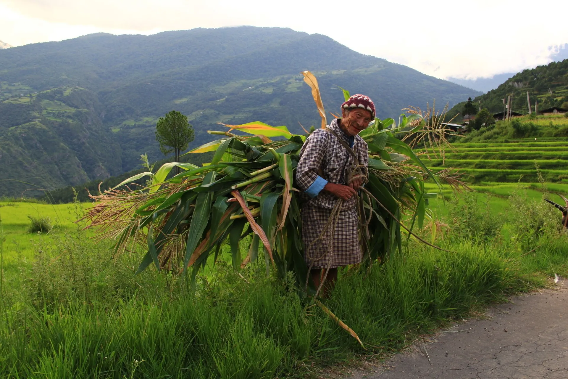 Radhi Village-A Gem of Bhutan’s Luxury Tour Experience