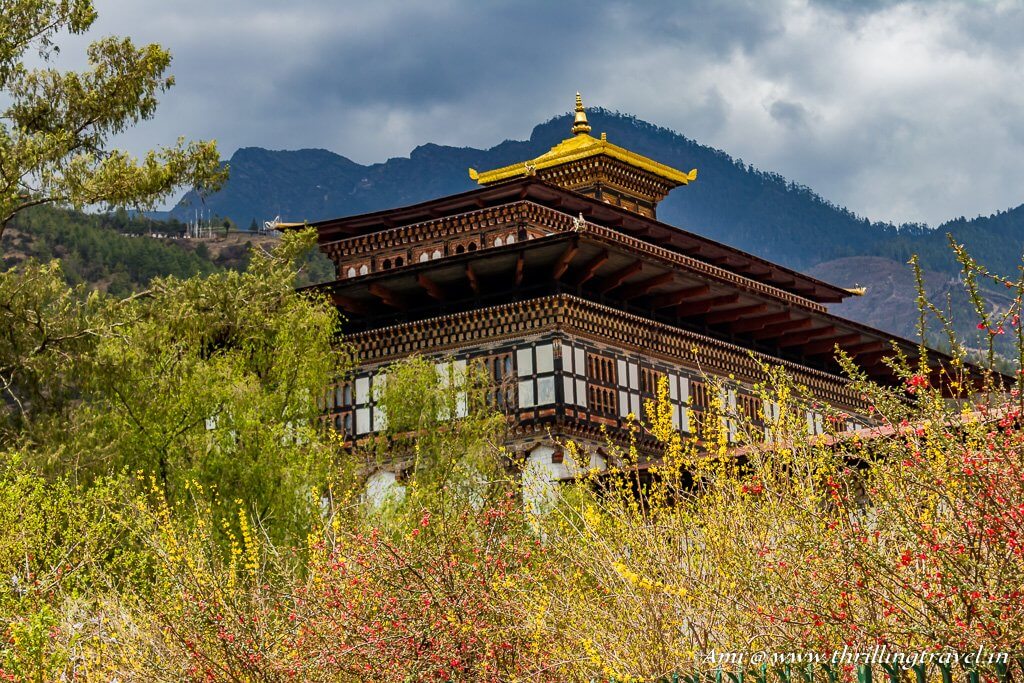 Discover the Magic of Bhutan-The Ultimate Luxury Tour Experience