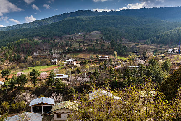 Bhutan Festival Photography Tour- 6 Days from Bagdogra