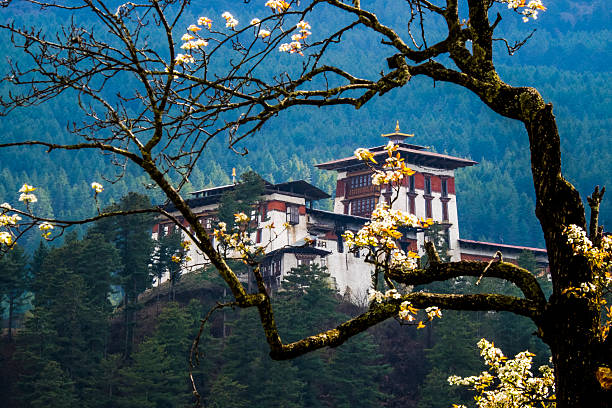 Bhutan Nature & Landscape Photography Tour- 9 Days from Delhi